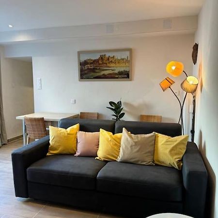 Appartement De Plain-Pied Avec Jardin Авиньон Экстерьер фото